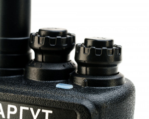 https__argut.net_upload_iblock_dd2_dtvqndplvukemf2tnpr06usvu5orrqps_DSC03505